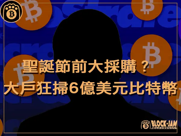 熊老爹 - 聖誕節前大採購？鯨魚大戶再度狂掃 6 億美元比特幣｜區塊鏈新聞23Q4
