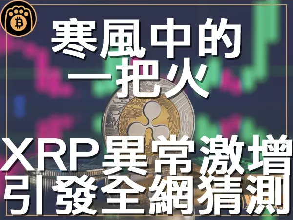 熊老爹 - 寒風中的一把火 XRP交易異常激增引發全網猜測｜區塊鏈新聞23Q3