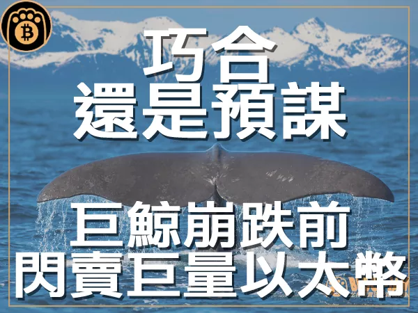 熊老爹 - 巧合還是預謀 巨鯨在市場崩盤前抛售4100萬美元的以太幣|區塊鏈新聞23Q3