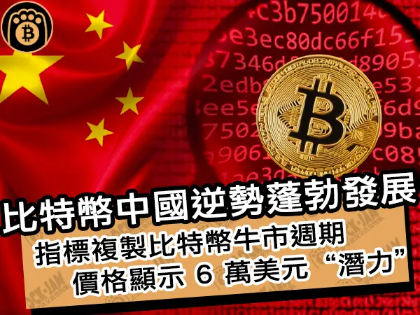 熊老爹 - 比特幣中國逆勢蓬勃發展!指標複製比特幣牛市週期價格顯示 6 萬美元“潛力”