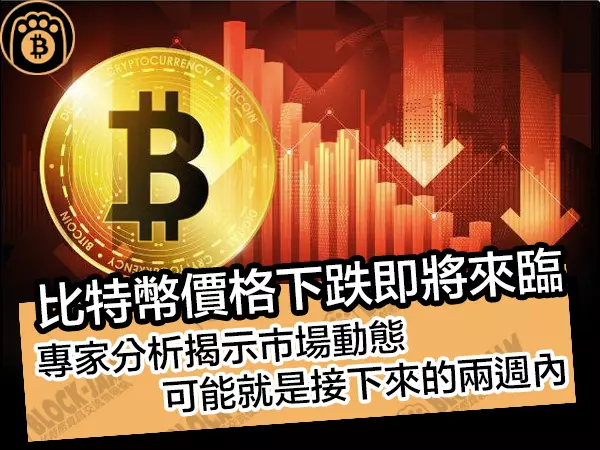 熊老爹 - 比特幣價格下跌即將來臨？專家分析揭示，可能就是接下來的兩週內