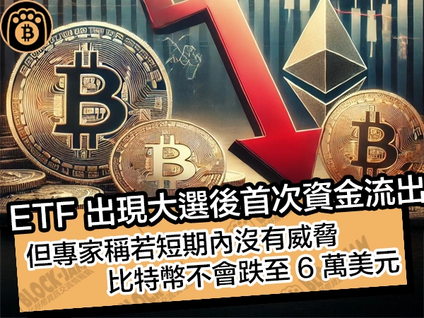 ETF 出現大選後首次資金流出!但專家稱若短期內沒有威脅,比特幣不會跌至 6 萬美元