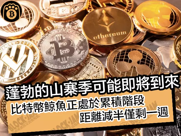 熊老爹 - 蓬勃的山寨季可能即將到來！比特幣鯨魚正處於累積階段，距離減半僅剩一週