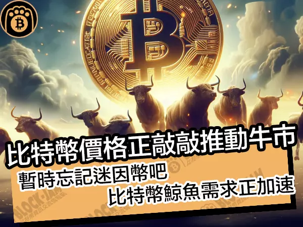 熊老爹 - 比特幣價格正敲敲推動牛市!暫時忘記迷因幣吧,比特幣鯨魚需求正加速