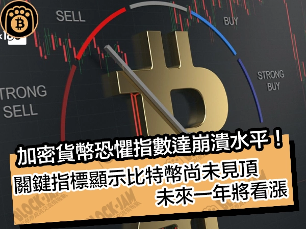 加密貨幣恐懼指數達崩潰水平!關鍵指標顯示比特幣尚未見頂,未來一年將看漲