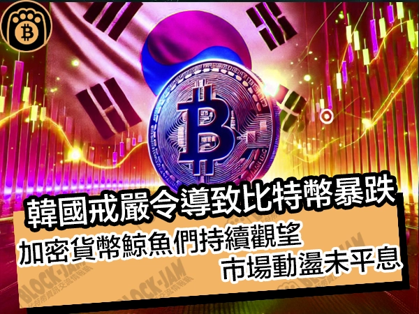 韓國戒嚴令導致比特幣價格暴跌!加密貨幣鯨魚們持續觀望,市場動盪未平息