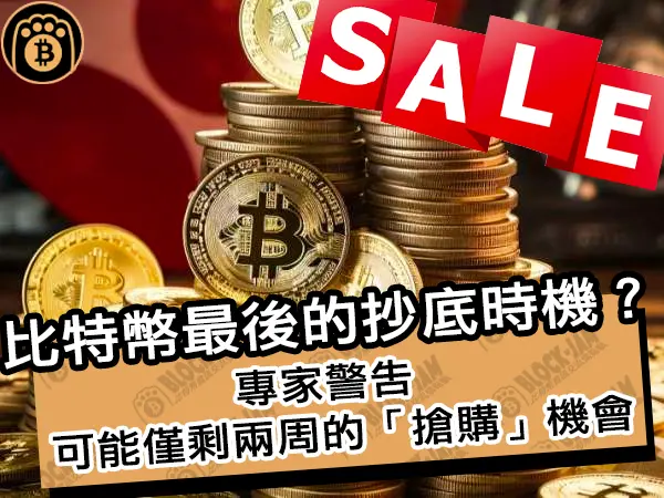 熊老爹 - 比特幣最後的抄底時機？專家警告可能僅剩兩周的「搶購」機會｜區塊鏈新聞24Q1