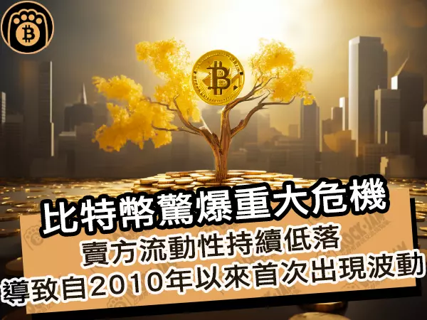 熊老爹 - 比特幣驚爆重大危機！賣方流動性持續低落，導致自 2010 年以來首次出現波動