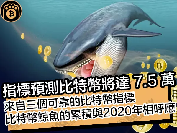 熊老爹比特幣資訊交流情報網 - 指標預測比特幣將達 7.5 萬！來自三個可靠的比特幣指標，比特幣鯨魚的累積與2020年相呼應