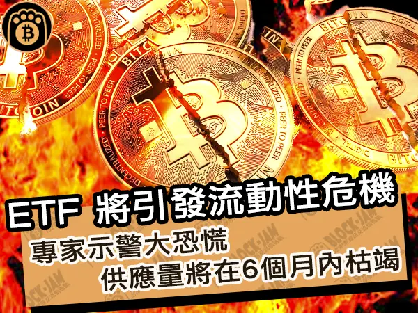 ETF 將引發流動性危機！專家示警大恐慌，供應量將在6個月內枯竭