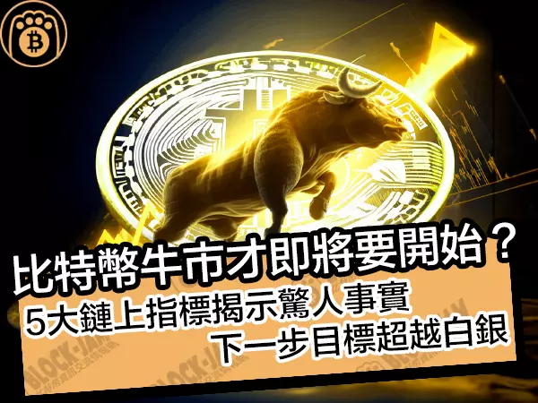 熊老爹 - 比特幣牛市才即將要開始?  5大鏈上指標揭示驚人事實,下一步目標超越白銀
