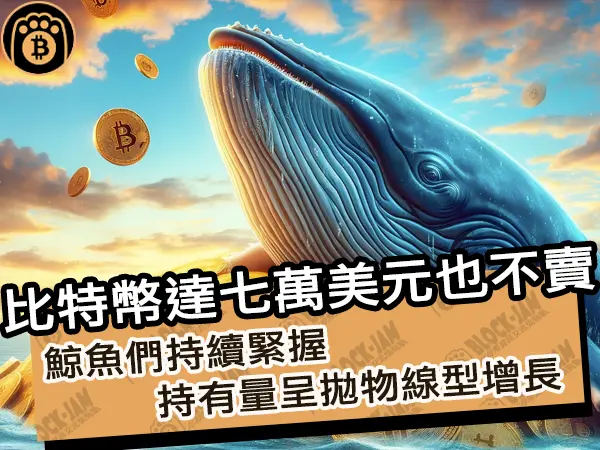 熊老爹 - 比特幣達七萬美元也不賣！鯨魚們持續緊握，持有量呈拋物線型增長