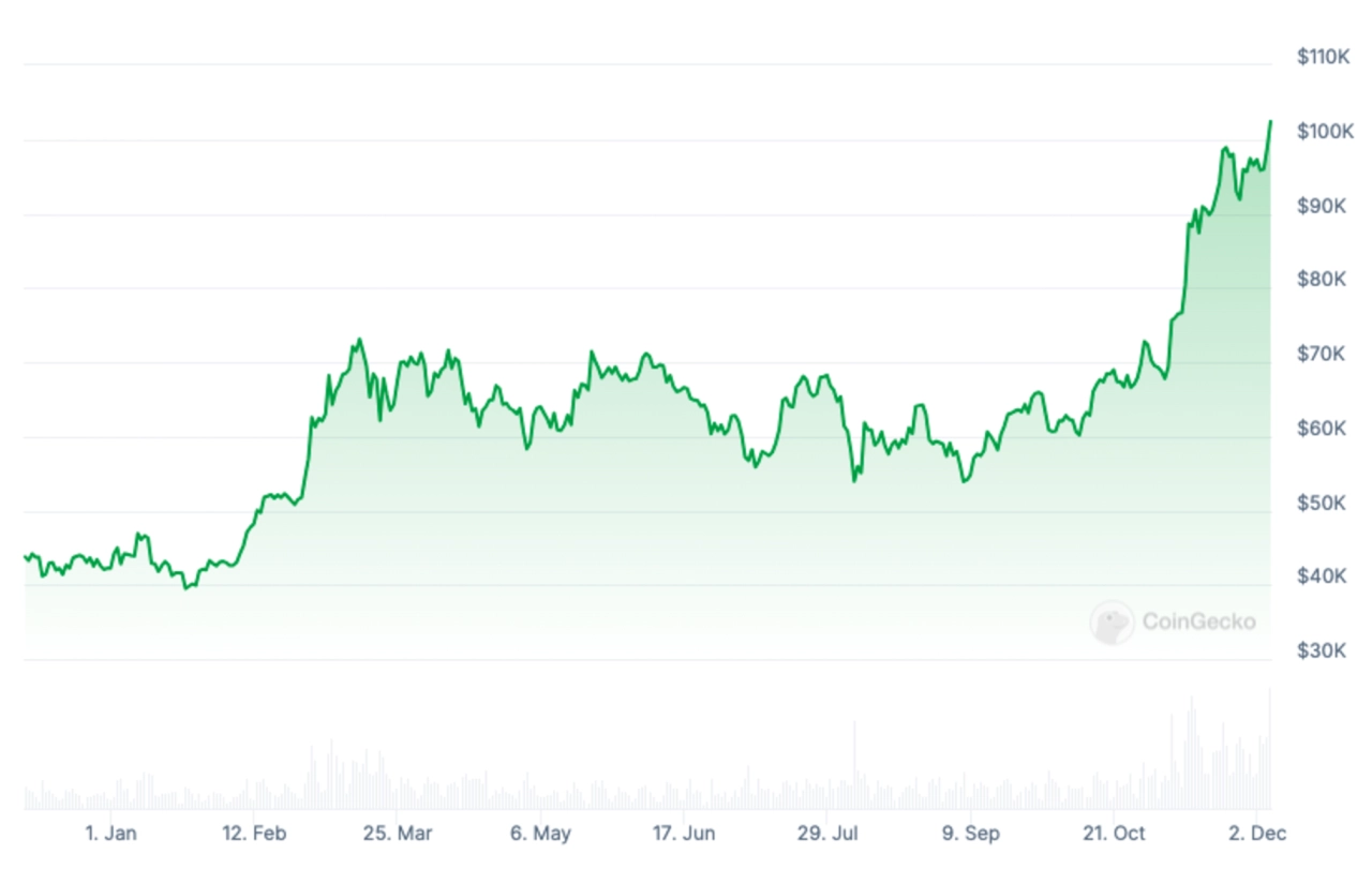 過去一年的比特幣價格圖表。來源：CoinGecko