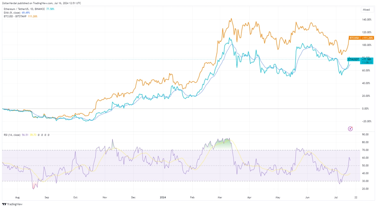 熊老爹比特幣資訊交流情報網 - BTCÐ，1 年圖表。來源：TradingView