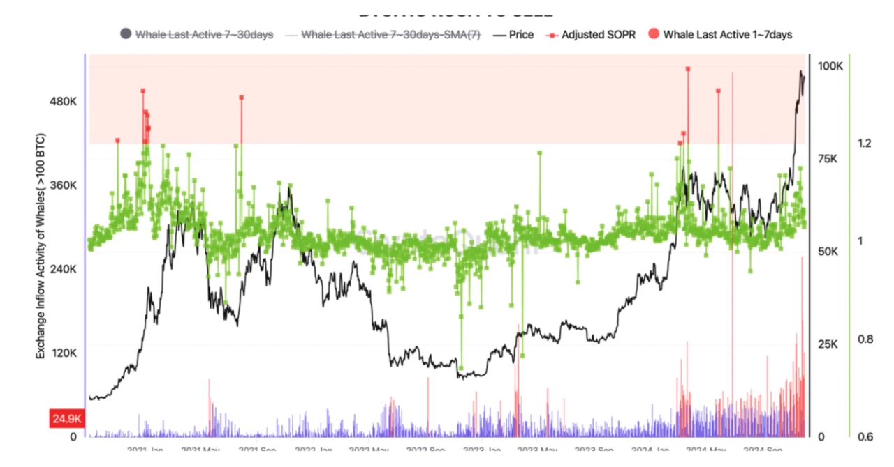 調整後支出產出利潤率 (aSOPR) 指標圖。來源：CryptoQuant