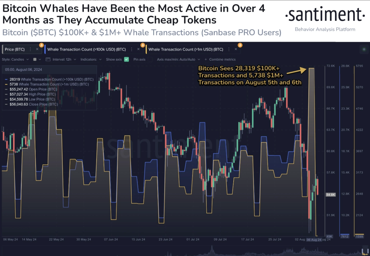 比特幣鯨魚交易。資料來源：Santiment - 熊老爹比特幣資訊交流情報網