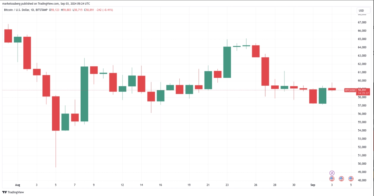 BTC/美元 1 日圖表。來源：TradingView