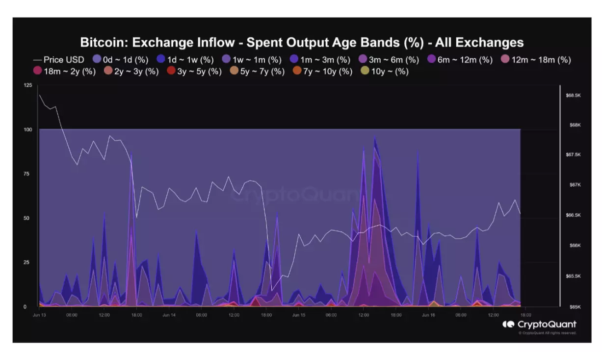 熊老爹比特幣資訊交流情報網 - 比特幣花費輸出年齡範圍數據（螢幕截圖）。來源：CryptoQuant -非營利目的